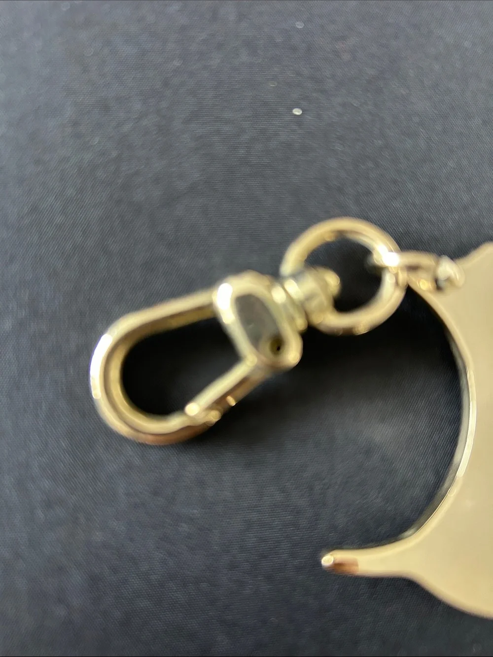 Carolina Herrera polished dog